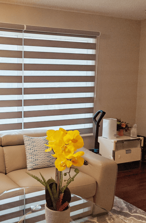 install zebra blinds