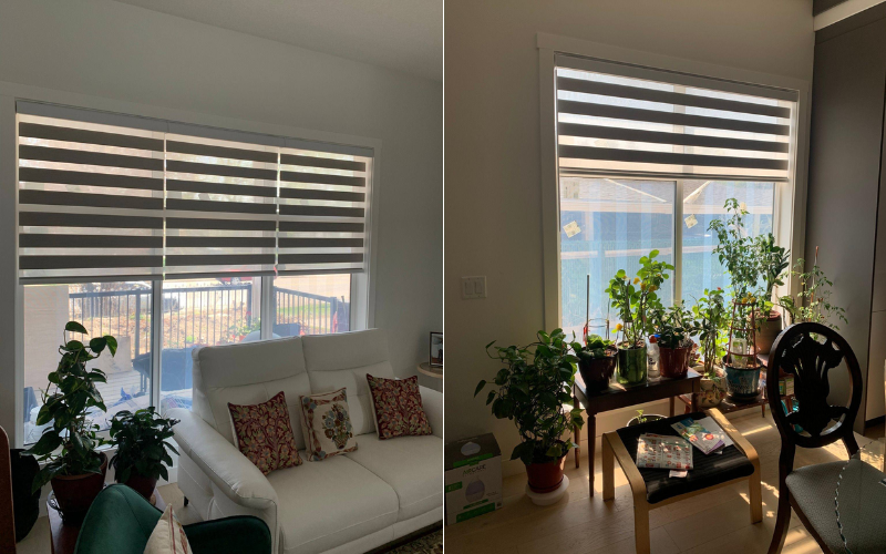 Find Custom Blinds Near Me in Calgary: Top Choices Find Custom Blinds Near Me in Calgary: Top Choices